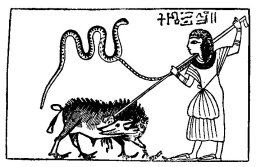 Nekht